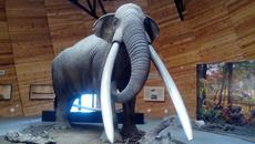 В Музея в Дорково - Videoclip.bg