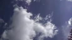 Гълъбите на Георги Пройчев - Videoclip.bg