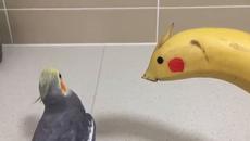 Да Се Влюбиш в някой от Нета - Videoclip.bg