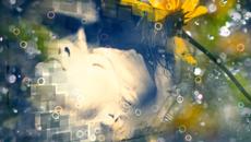 НЕ ВИНИ МЕНЯ, НЕ ВИНИ... - СЕРГЕЙ РОСТОВЪ - НЕВЕРОЯТНО КРАСИВАЯ ПЕСНЯ ДЛЯ ДУШИ! - Videoclip.bg