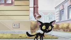 Жил-был чёрный кот - Videoclip.bg