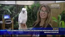 Най-голямата жива изложба на екзотични папагали в източна Европа е в Бургас - Videoclip.bg