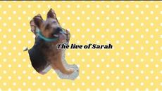 Животът на Сара/The life of Sarah(Трейлър) - Videoclip.bg