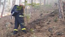 Пожарът над Карлово отново се разгоря - Videoclip.bg