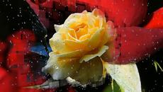 НИКОЛАЙ БЕРЕГ - В СЕНТЯБРЕ... - Videoclip.bg