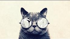 Jazz Hip Hop ' 24/7 LIve Radio - Videoclip.bg