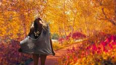 Blue Haze - Long Autumn Blues - Videoclip.bg