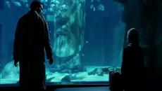 Norah Jones ✴ Come Away With Me ( My unofficial video ) Превод - Videoclip.bg