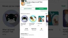 Тест!(виж на края,много се смях) - Videoclip.bg