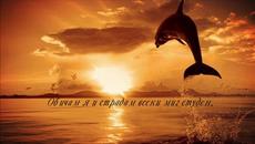 Страхотно гръцко! Звездица - Videoclip.bg