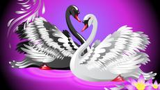 Тихи и красиви ... - Videoclip.bg