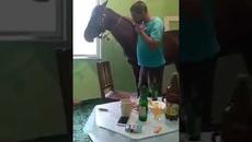 Кючек с кон - Videoclip.bg