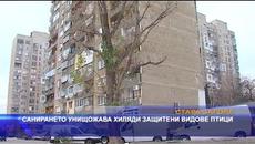 Санирането унищожава хиляди защитени видове птици - Videoclip.bg