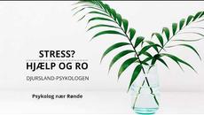 Samtale-terapi nær Nationalpark Mols Bjerge - Videoclip.bg