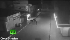 Вижте силен трус разтресе Румъния .5,6 по Рихтер, усетен е и в България / 28.10.2018 - Videoclip.bg