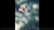 Vivaldi - Spring - Videoclip.bg