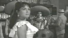 “Al pié del cañón“ – Flor Silvestre - Videoclip.bg