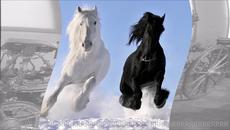 Григорис Битикоцис Каляска с два коня Grigoris Bithikotsis Превод - Videoclip.bg