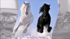 Досю Берковски Каляската с два коня Превод - Videoclip.bg