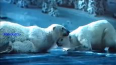 Band ODESSA  -  ДРАЙВ & КАЙФ - Videoclip.bg