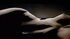 Amel Babic - Samo ti - bg sub - Videoclip.bg