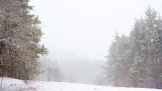 Заваля Сняг в Родопите! Всичко побеля - Videoclip.bg