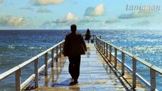 ОЩЕ ТЕ ОБИЧАМ - Тони Димитрова и Орлин Горанов - Videoclip.bg