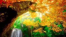 Есенни багри ... - Videoclip.bg