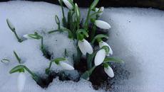 Judy Garland - Over The Rainbow 1955 - Videoclip.bg
