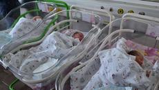 Подписка за забрана на остарели методи в родилните отделения - Videoclip.bg