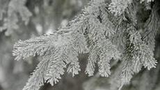 Зимата дойде идва първият сняг още преди Коледа 2018 - Videoclip.bg