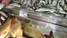 Рибата няма да поскъпва за Никулден, категорични са търговците - Videoclip.bg