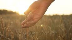 Fazlija - 2018 - Druze moj - Videoclip.bg