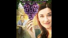 Лозята на любовта бг аудио 2017 - Videoclip.bg