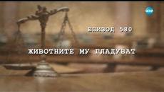 Съдебен спор - Епизод 580 - Животните му гладуват (02.12.2018) - Videoclip.bg