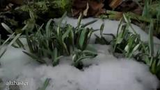 Anathema - The Beginning and the End - Videoclip.bg