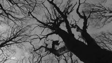 ❤ Celine Dion - I Don't Know ! ❤ Превод - Videoclip.bg