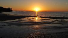 Aakash Gandhi - The Rising - Videoclip.bg