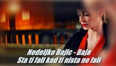 NEDELJKO BAJIC BAJA - STA TI FALI KAD TI NISTA NE FALI - prevod - Videoclip.bg