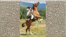 The Grid - Texas Couboys - Videoclip.bg