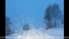 Весела Коледа с Dean Martin и Let it Snow - Videoclip.bg