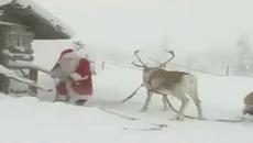 Приказка за Коледа - Videoclip.bg