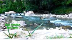 Band ODESSA   -   БЕЛАЯ БЕРЁЗА - Videoclip.bg