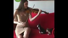 МУЗИКА ЗА КОТКИ - Videoclip.bg