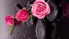 Dub War Million Dollar Love - Planet H Remix - Videoclip.bg