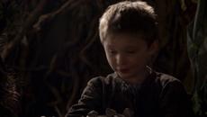 Зрял за възрастта си - Videoclip.bg