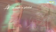 TEODORA - TAXI (LYRICS VIDEO) - Videoclip.bg