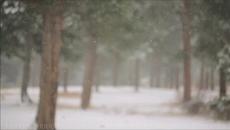 Mариана и Тодор Трайчеви Първи сняг - Videoclip.bg