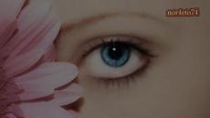 Подари ми - Videoclip.bg