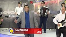 Igor Alijevic - Zid - (Tv Sezam 2019) - Videoclip.bg